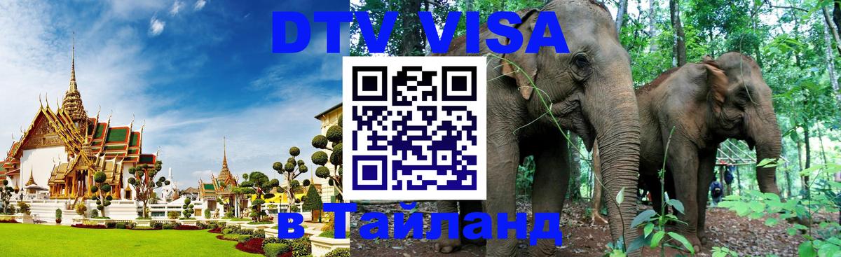 DTV Visa Тайланд купить DTV Visa Тайланд купить